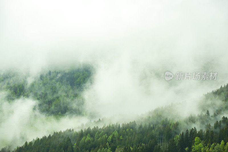 春天在Zgornje Jezersko山谷森林上空的云层